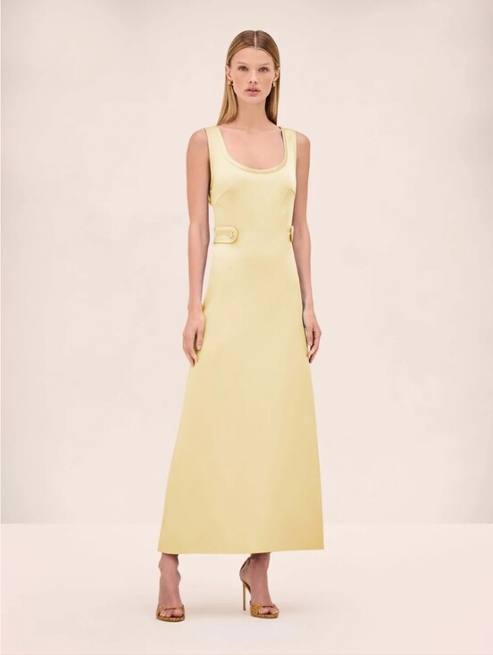 Alexis Dresses & Skirts - Alexis Briette Dress